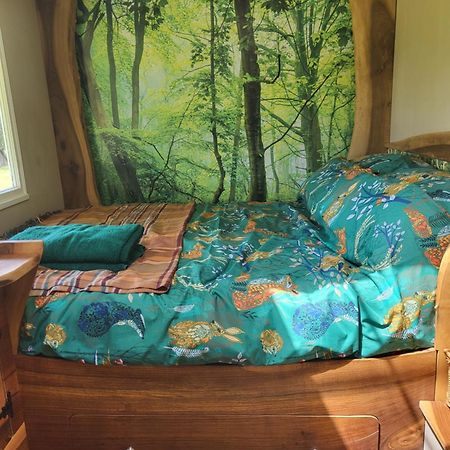 Courtlands Farm Camping And Glamping Canterbury Exteriör bild